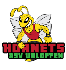 Bezirksmeisterschaften im Ringen