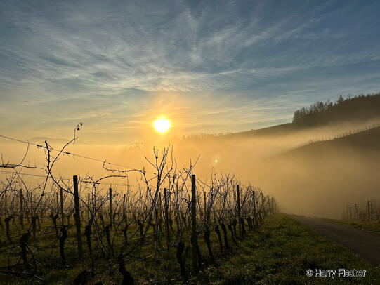 Platz 2: Harry Fischer; Nesselried