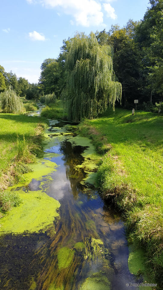 Platz 4: Bernd Hoffrichter; Appenweier