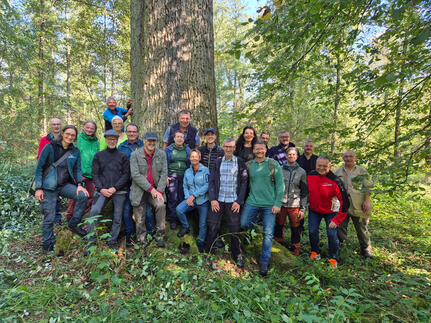 Bürgermeister Viktor Lorenz gemeinsam mit den Teilnehmenden der diesjährigen Waldbegehung