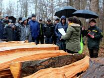 Alles Brennholz ging unter den Hammer