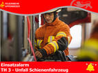 Feuerwehreinsatz 2024/010