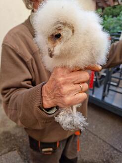 Feuerwehreinsatz 2021/044 - Foto 3