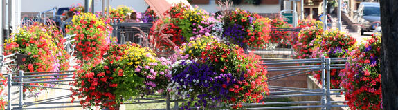 Blumenschmuck in Appenweiers Zentrum